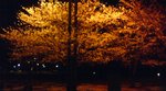 20090403031704.jpg